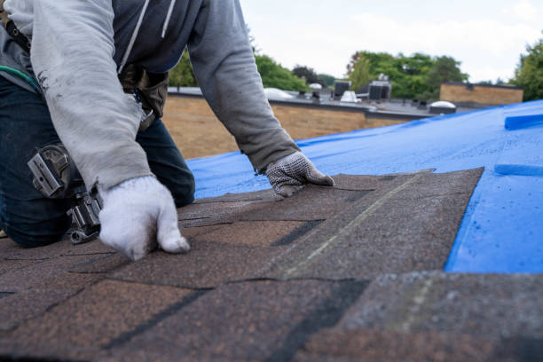 Best Best Roofing Contractors  in Chanute, KS